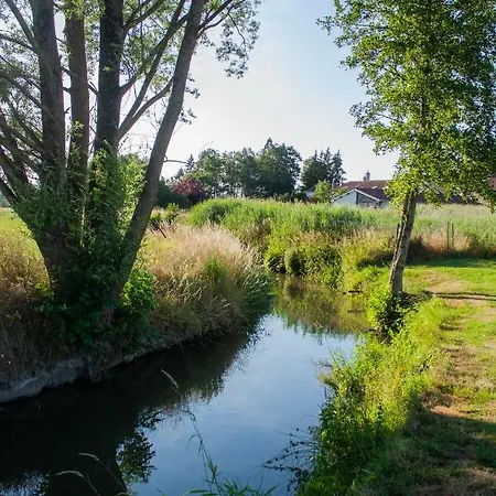 Hotel Relais Vosgien - Restaurant 