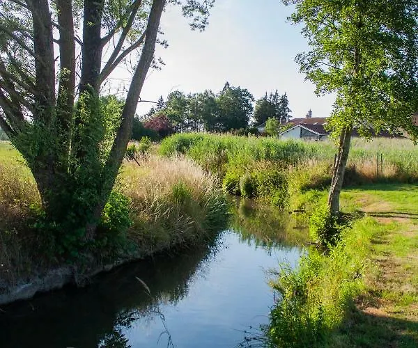 Hotel Relais Vosgien - Restaurant 